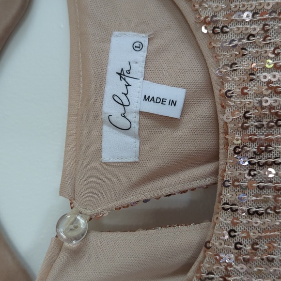 Sparkly Rose Gold Neesee's Dress, Size Large - Picture 5 of 5